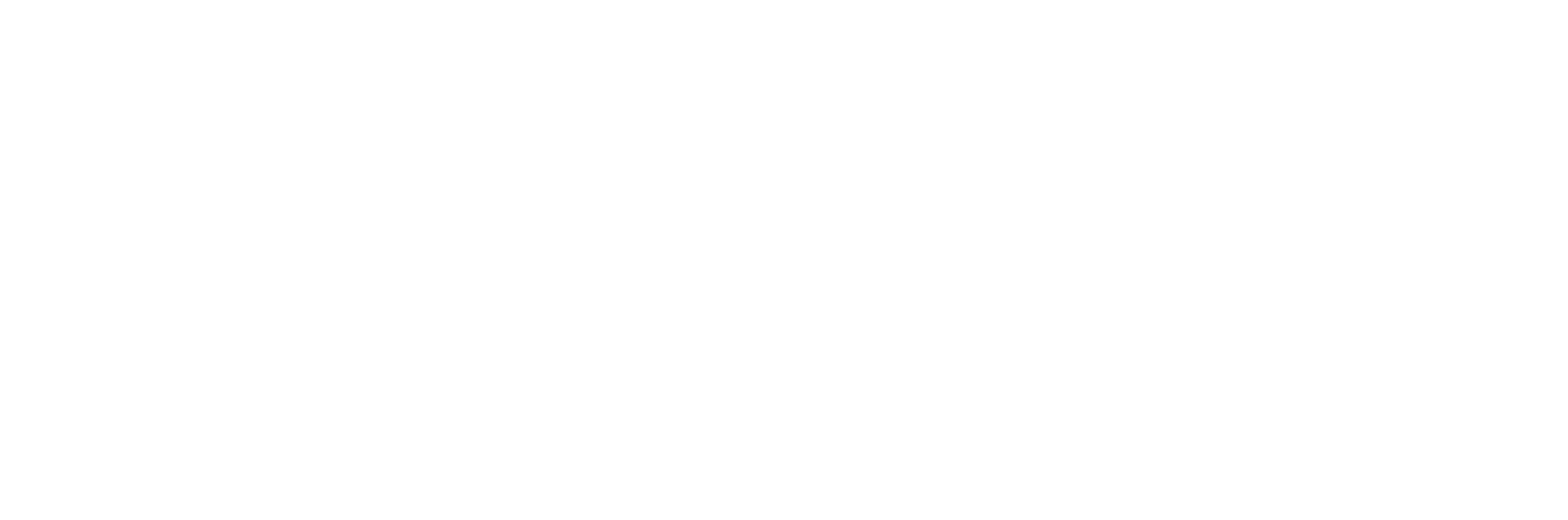 verst-logistics-logo