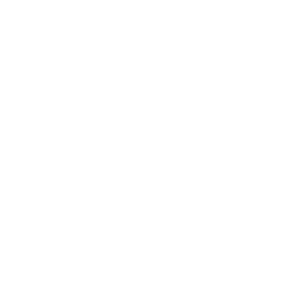 CTSI Logo