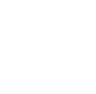 Mohawk global logo