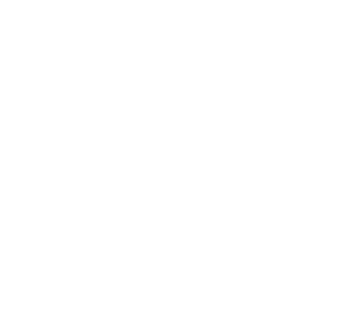 Savage logo