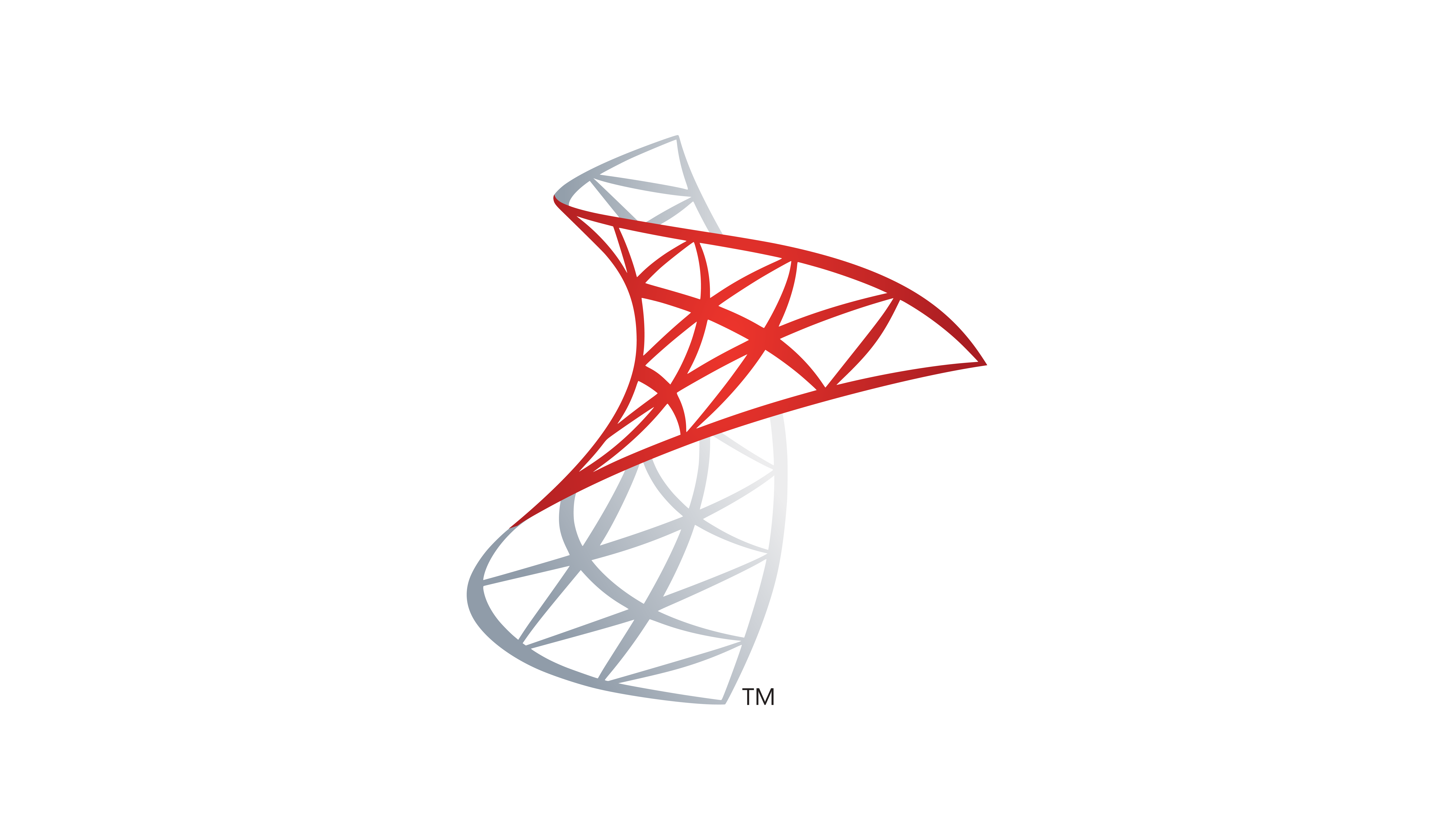 SQL Server logo