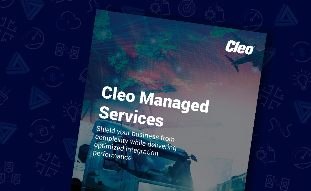 cleo-managed-services-data-sheet