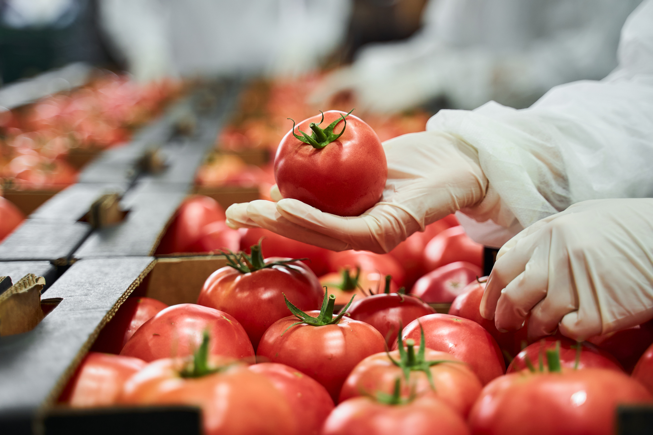 Food Safety Modernization Act (FSMA)