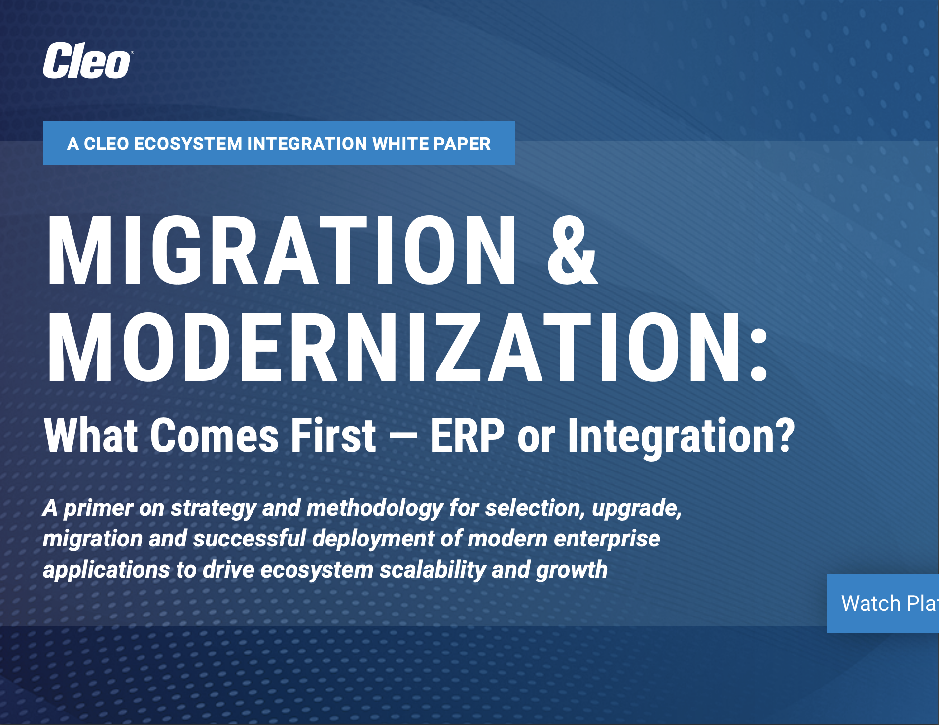 ERP Migration Whitepaper