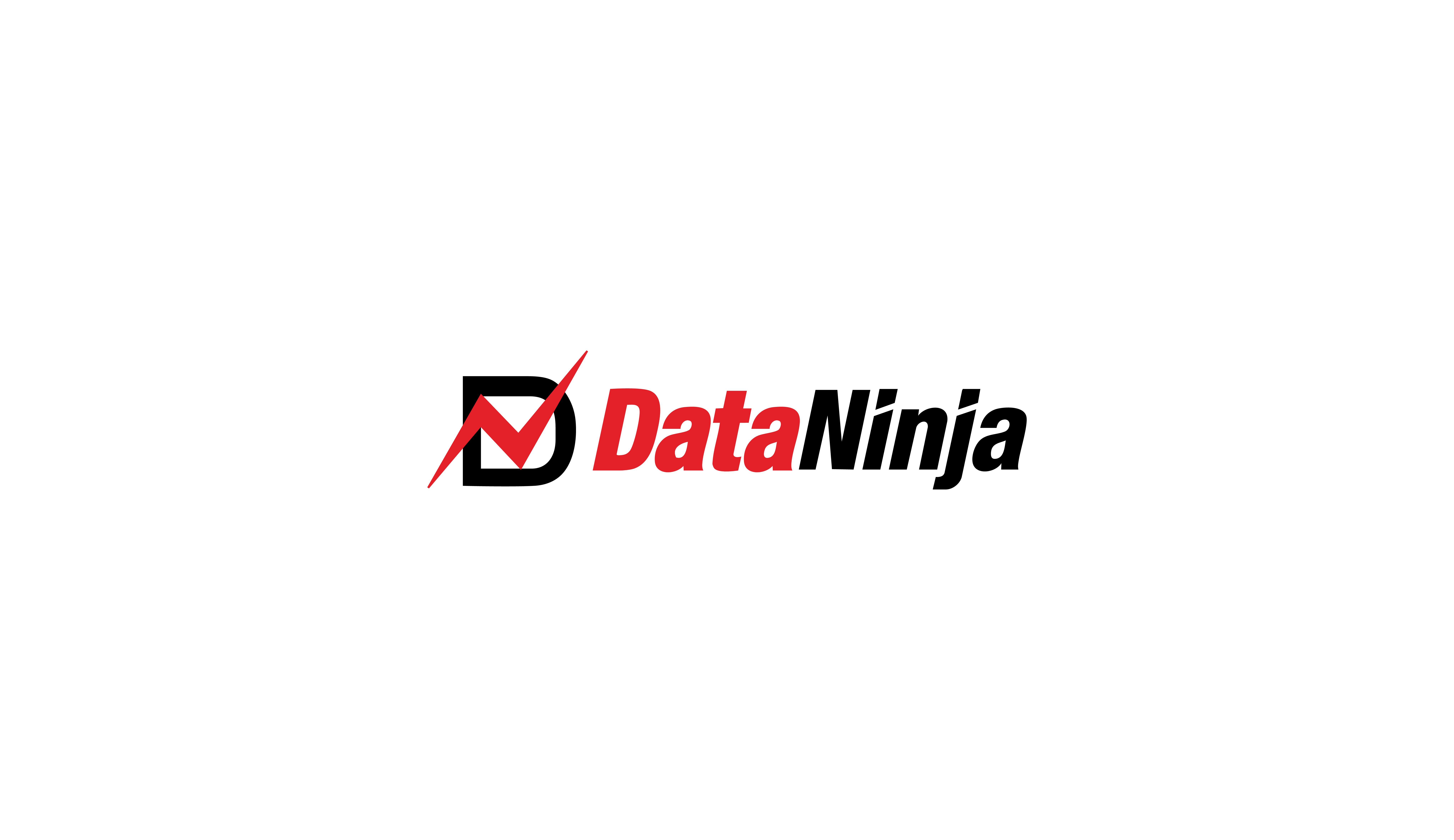 DataNinja Logo