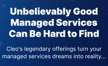 Curious about the secret to effortless integration? Explore our infographic to uncover Cleo's Managed Services advantage.