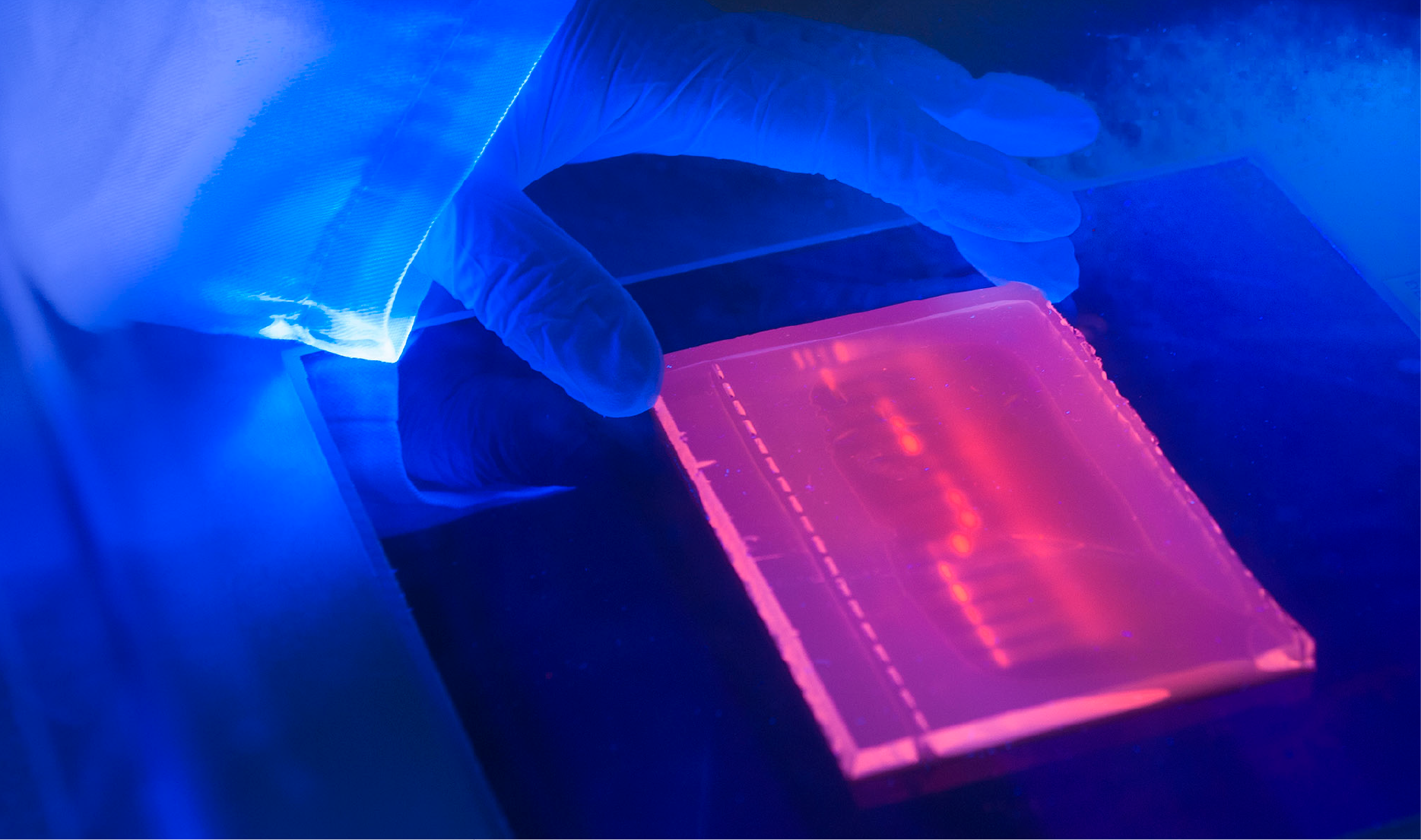 Illumina Cleo Case Study
