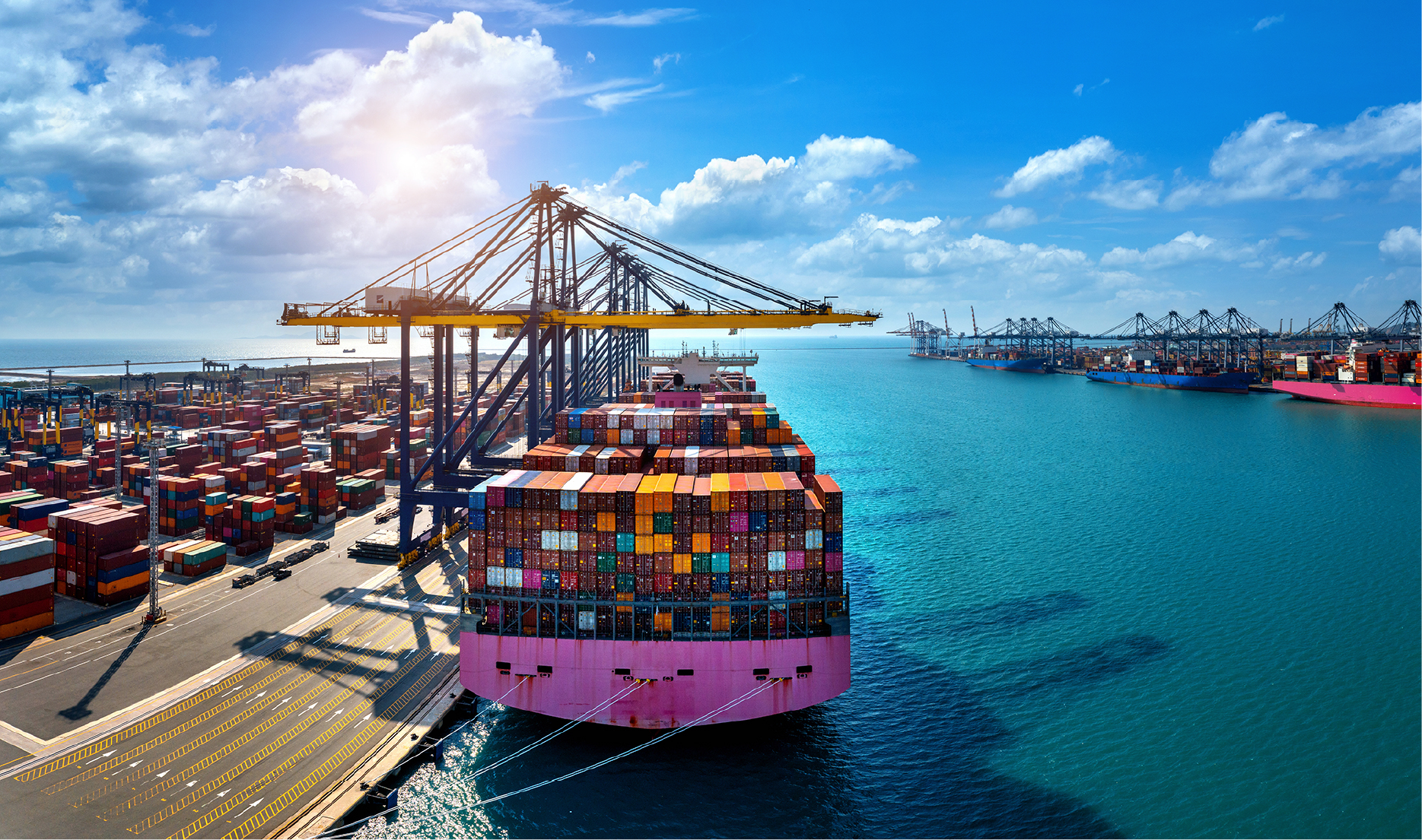 Mohawk Global Logistics Cleo Case Study