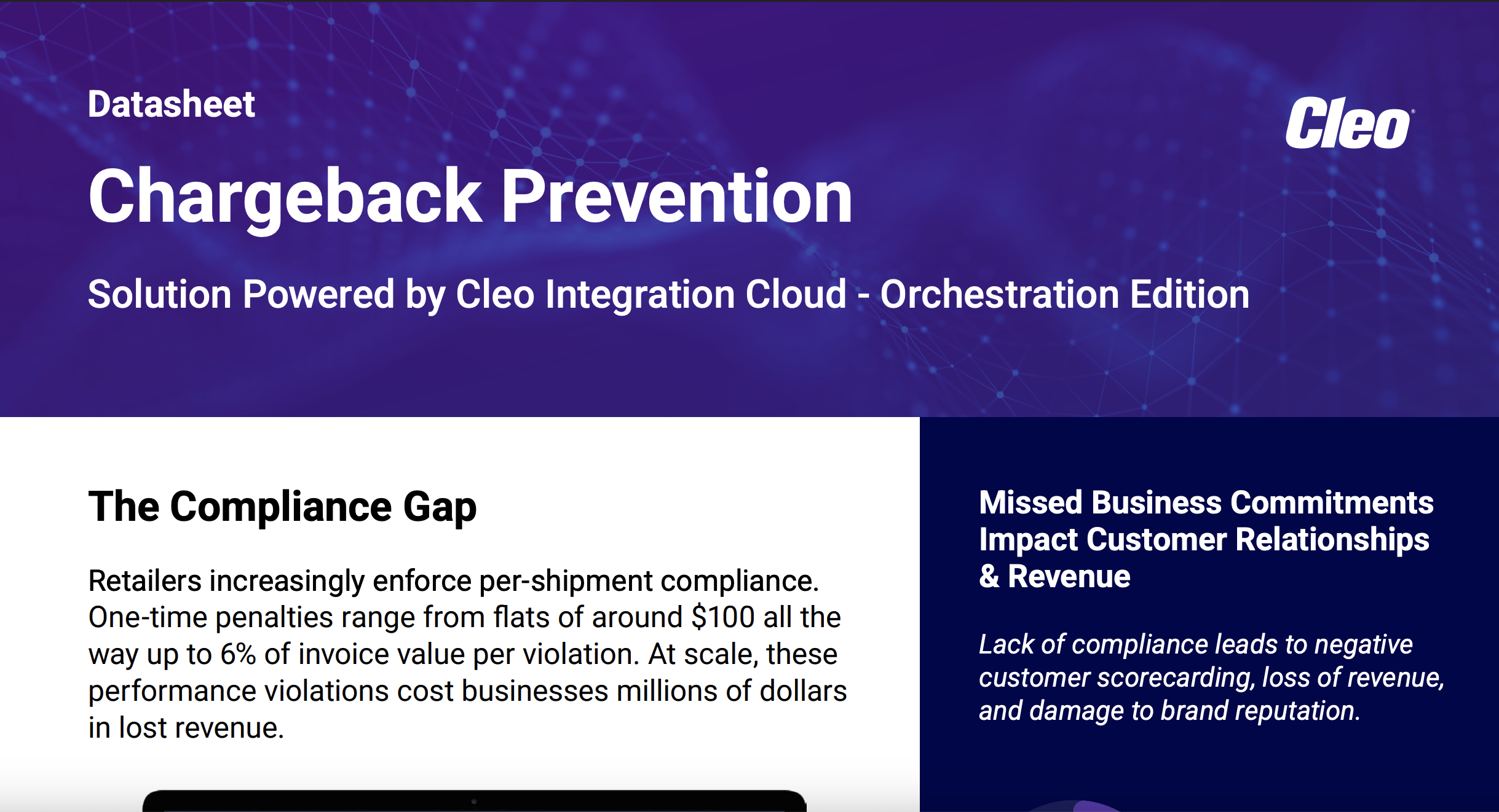 chargeback prevention datasheet thumbnail