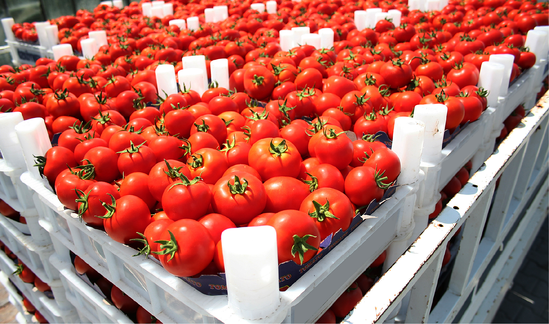 Sligro Cleo case study