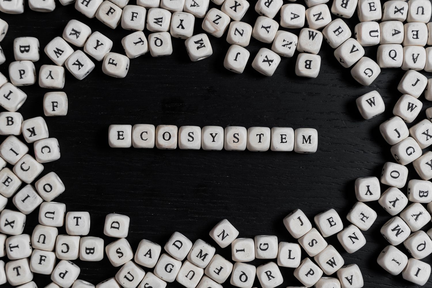 Ecosystem is more than just a buzzword