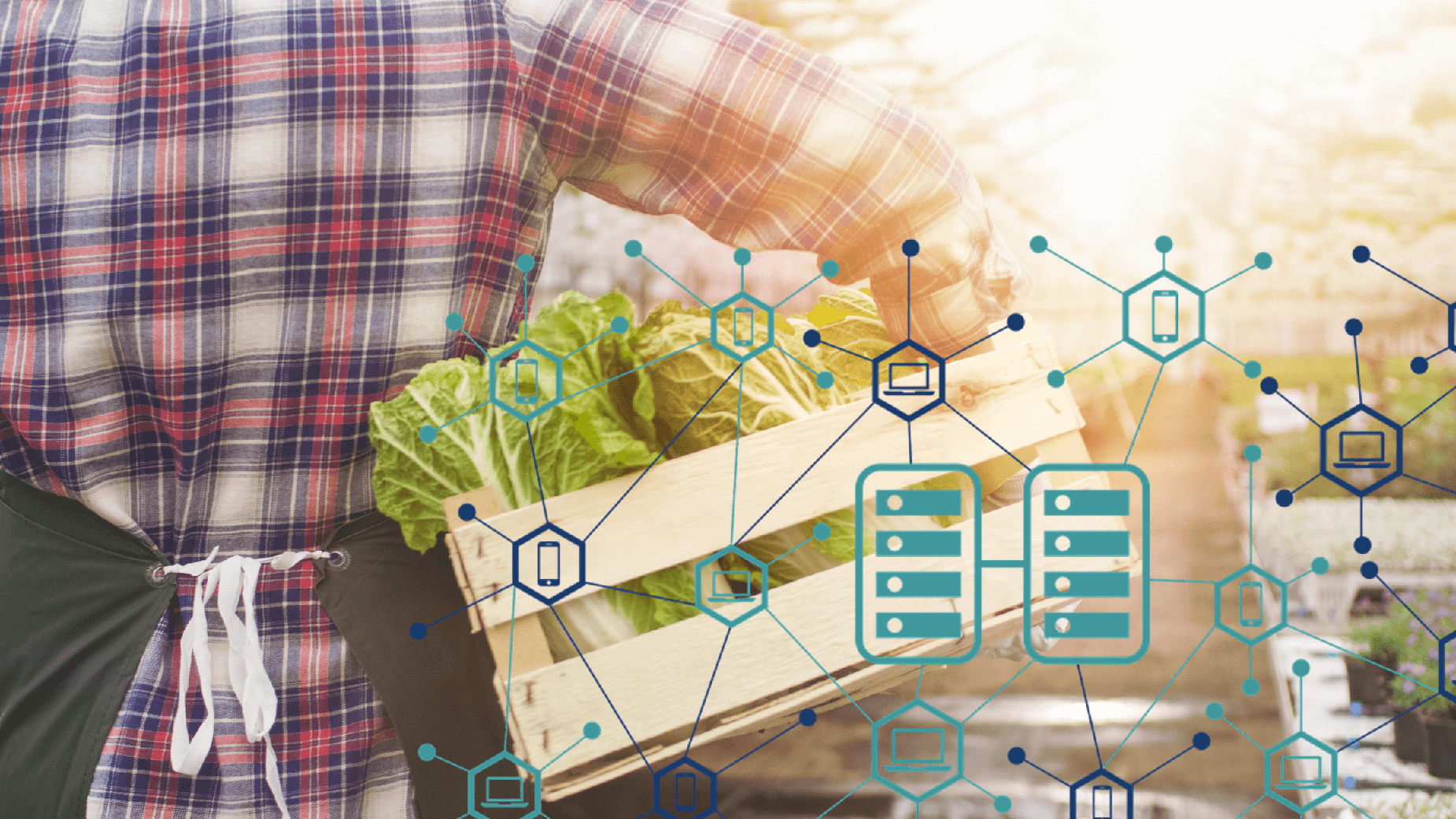 Walmart is mandating that their produce suppliers adopt blockchain technologies by January 31, 2019