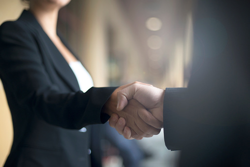 Cleo's Partner Program