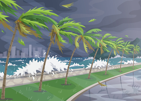 Prepping for the Hurricane