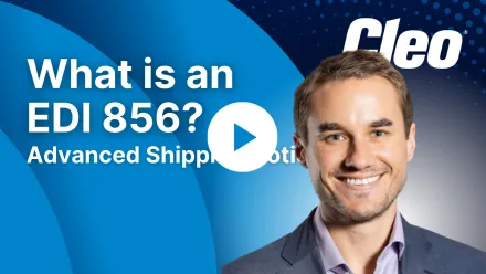 What is an EDI 856 Advanced Ship Notice?