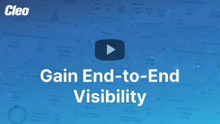 Cleo Integration Cloud Visibility Demo